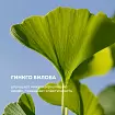 Сыворотка для лица лифтинг «Гинкго билоба»